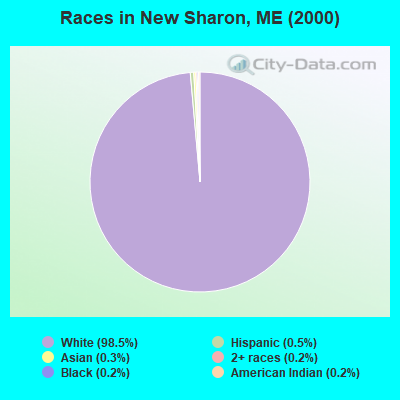 Races in New Sharon, ME (2000)