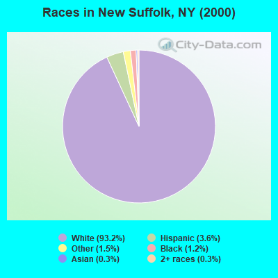 Races in New Suffolk, NY (2000)