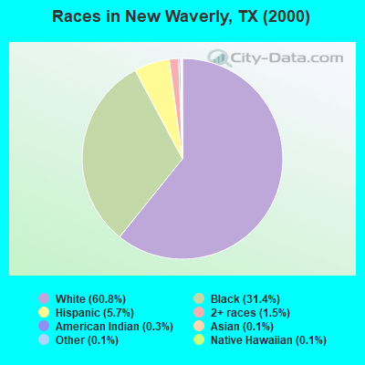 Races in New Waverly, TX (2000)