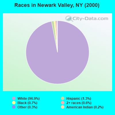 Races in Newark Valley, NY (2000)