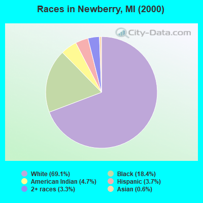 Races in Newberry, MI (2000)