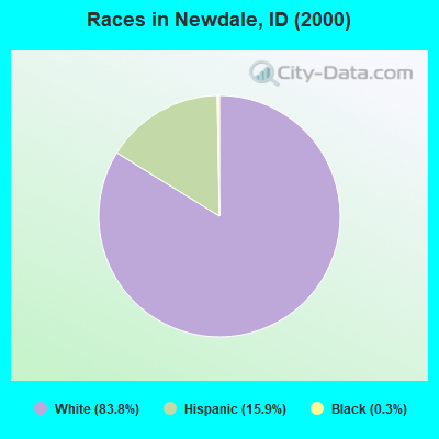 Races in Newdale, ID (2000)