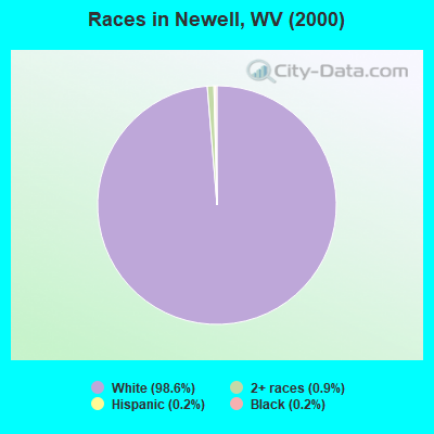 Races in Newell, WV (2000)