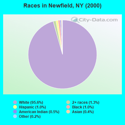 Races in Newfield, NY (2000)