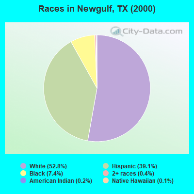 Races in Newgulf, TX (2000)