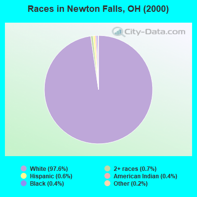 Races in Newton Falls, OH (2000)