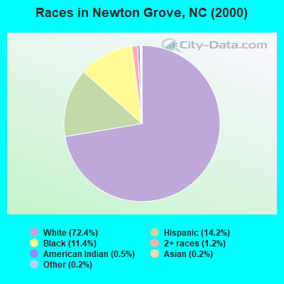 Races in Newton Grove, NC (2000)
