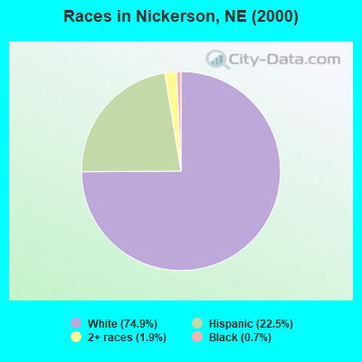 Races in Nickerson, NE (2000)
