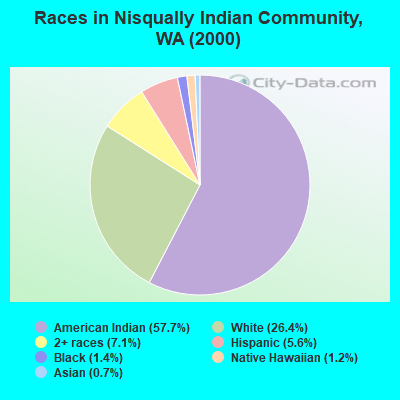 Races in Nisqually Indian Community, WA (2000)