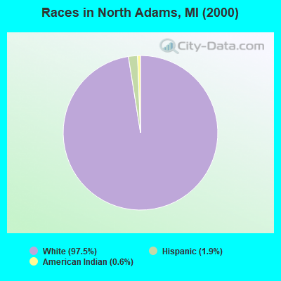 Races in North Adams, MI (2000)