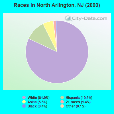 Races in North Arlington, NJ (2000)
