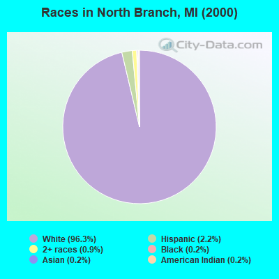 Races in North Branch, MI (2000)