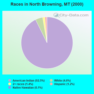 Races in North Browning, MT (2000)