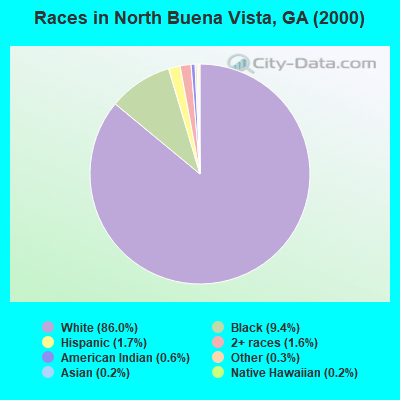 Races in North Buena Vista, GA (2000)