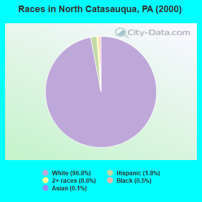 Races in North Catasauqua, PA (2000)