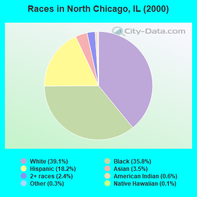 Races in North Chicago, IL (2000)