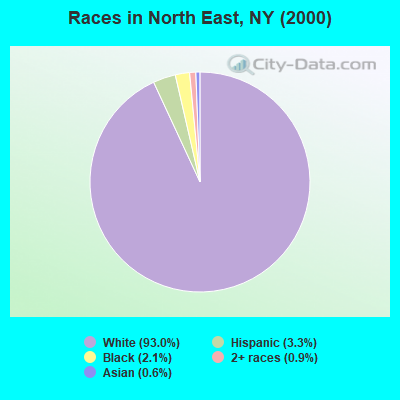 Races in North East, NY (2000)