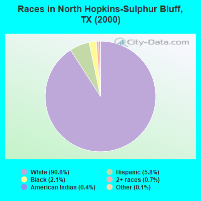Races in North Hopkins-Sulphur Bluff, TX (2000)