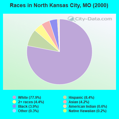 Races in North Kansas City, MO (2000)