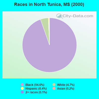 Races in North Tunica, MS (2000)