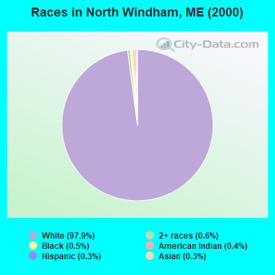 Races in North Windham, ME (2000)