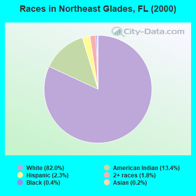 Races in Northeast Glades, FL (2000)
