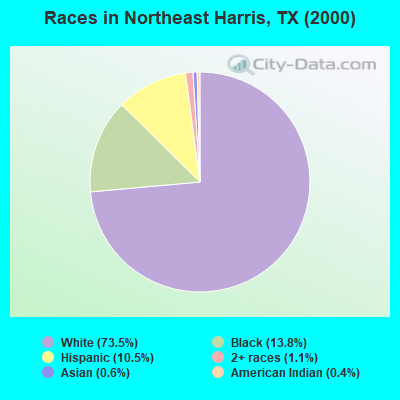 Races in Northeast Harris, TX (2000)