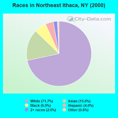 Races in Northeast Ithaca, NY (2000)