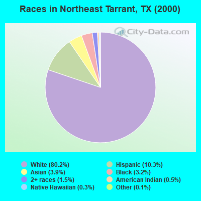 Races in Northeast Tarrant, TX (2000)