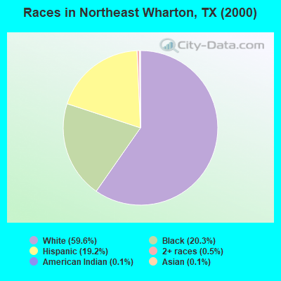Races in Northeast Wharton, TX (2000)
