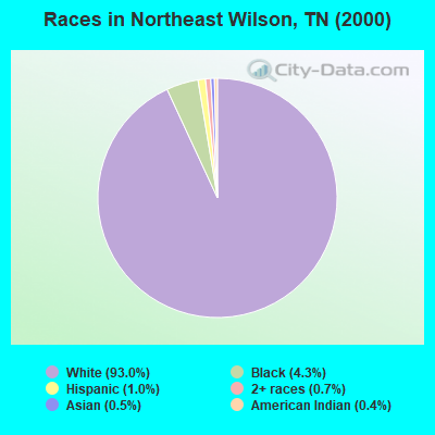 Races in Northeast Wilson, TN (2000)