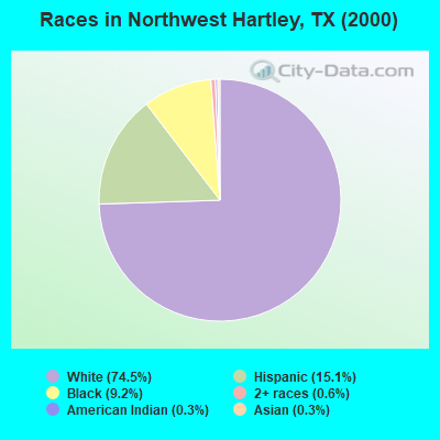 Races in Northwest Hartley, TX (2000)