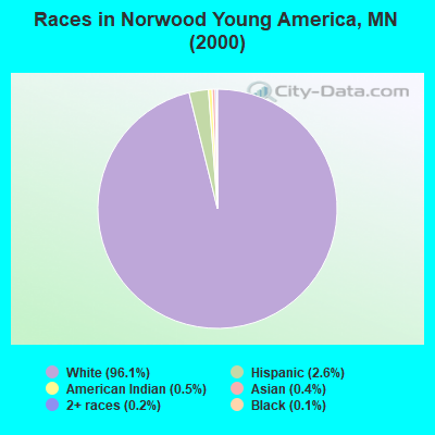 Races in Norwood Young America, MN (2000)