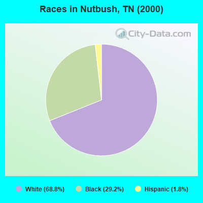 Races in Nutbush, TN (2000)