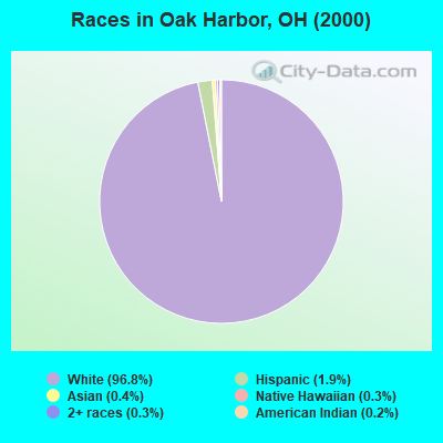 Races in Oak Harbor, OH (2000)