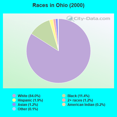 Races in Ohio (2000)
