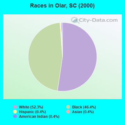 Races in Olar, SC (2000)