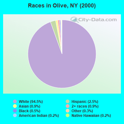 Races in Olive, NY (2000)