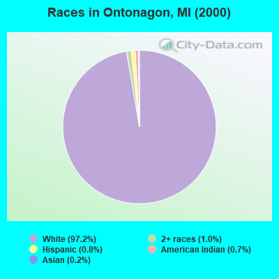 Races in Ontonagon, MI (2000)