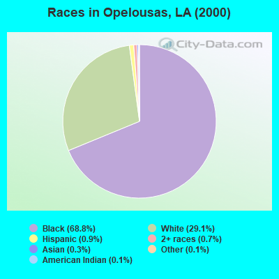 Races in Opelousas, LA (2000)
