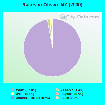 Races in Otisco, NY (2000)