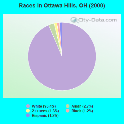 Races in Ottawa Hills, OH (2000)