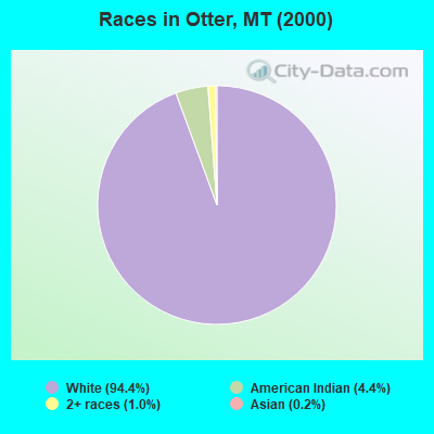 Races in Otter, MT (2000)