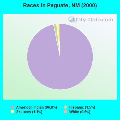 Races in Paguate, NM (2000)