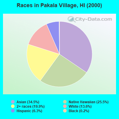 Races in Pakala Village, HI (2000)