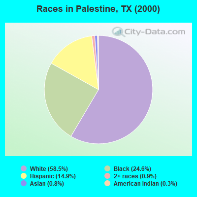 Races in Palestine, TX (2000)