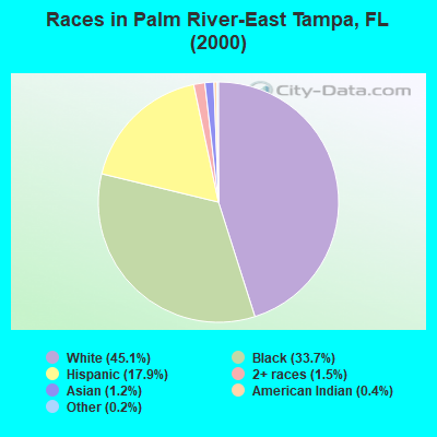 Races in Palm River-East Tampa, FL (2000)