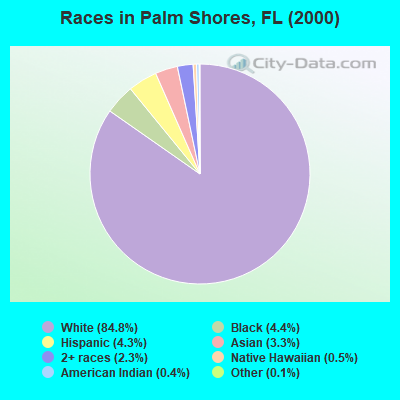 Races in Palm Shores, FL (2000)