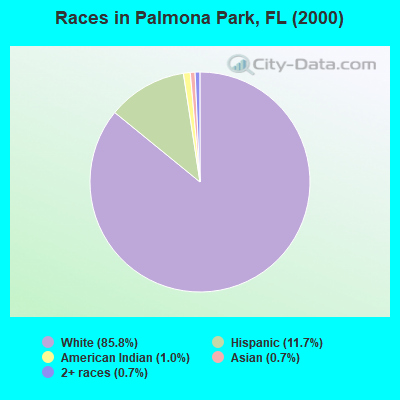 Races in Palmona Park, FL (2000)
