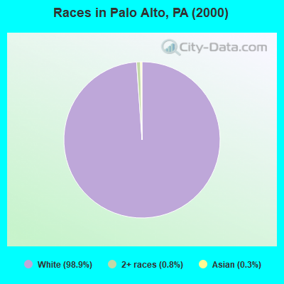 Races in Palo Alto, PA (2000)